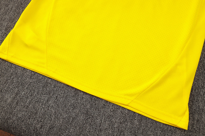 KIT PRÉ JOGO - BORUSSIA DORTMUND - AMARELO - 24/25